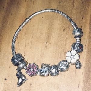 Pandora charm bracelet.